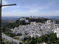 Casares