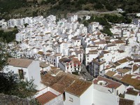 Casares