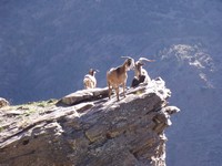 Los Alpujarras