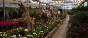 Garden centre