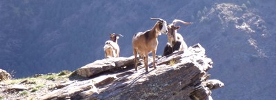 Los Alpujarras