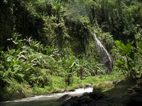 Rafting in Bali