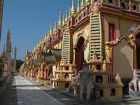 Monywa