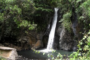 The waterfall