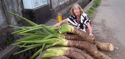 Bajawa's market