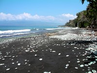 Beach with blue stones