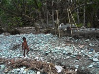 Beach with blue stones