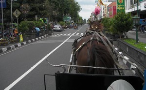 Horse and carriage to Kraton