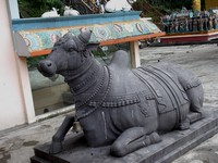 Nandi