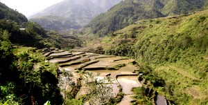 Hungduan rice terraces