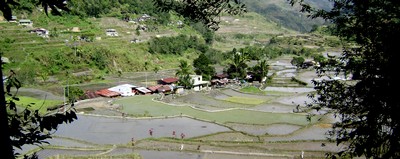 Hungduan rice terraces