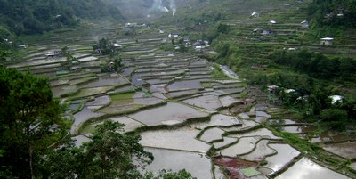 Hungduan rice terraces