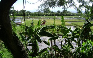 In the south of Camiguin