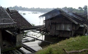 In Agusan Marsh