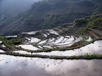 Maligcong rice terraces