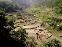 Hungduan rice terraces