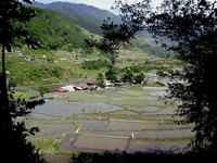 Hungduan rice terraces