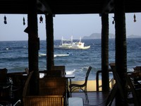 Negros : in front of Apo Island