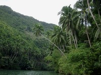 Loboc river in Bohol