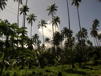 Camiguin island