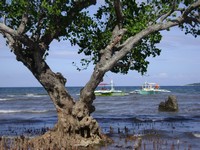 Near Mantigue island