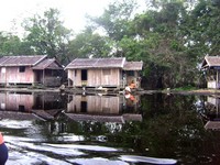 Manobo's houses