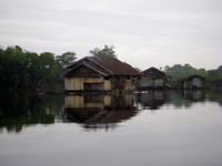 Manobo's houses