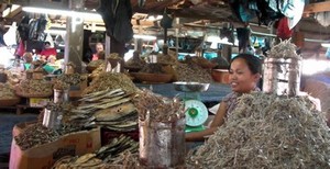 Bolu market