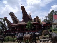 Funeral ceremony