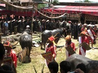 Funeral ceremony