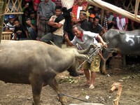 Funeral ceremony 