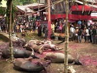 Funeral ceremony 