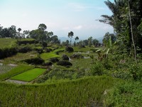 Trek in Tana Toraja