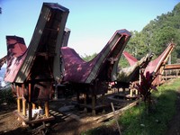 Trek in Tana Toraja